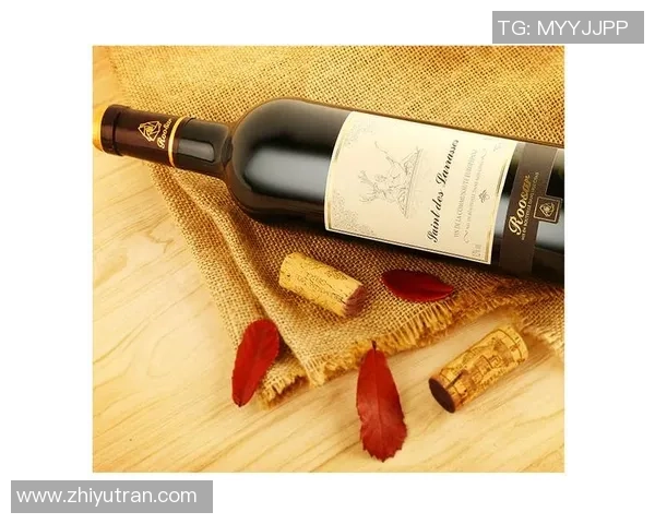 姚明在法国庄园的生活与梦想探秘之旅